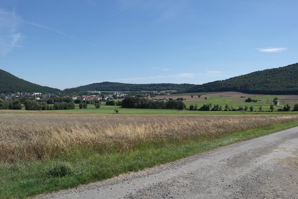 Wagener'S Hof Apartments Bad Wildungen Exteriör bild